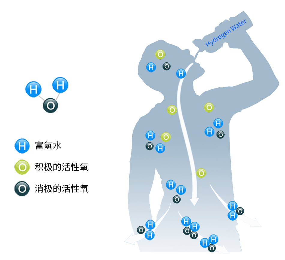 氫水機配件